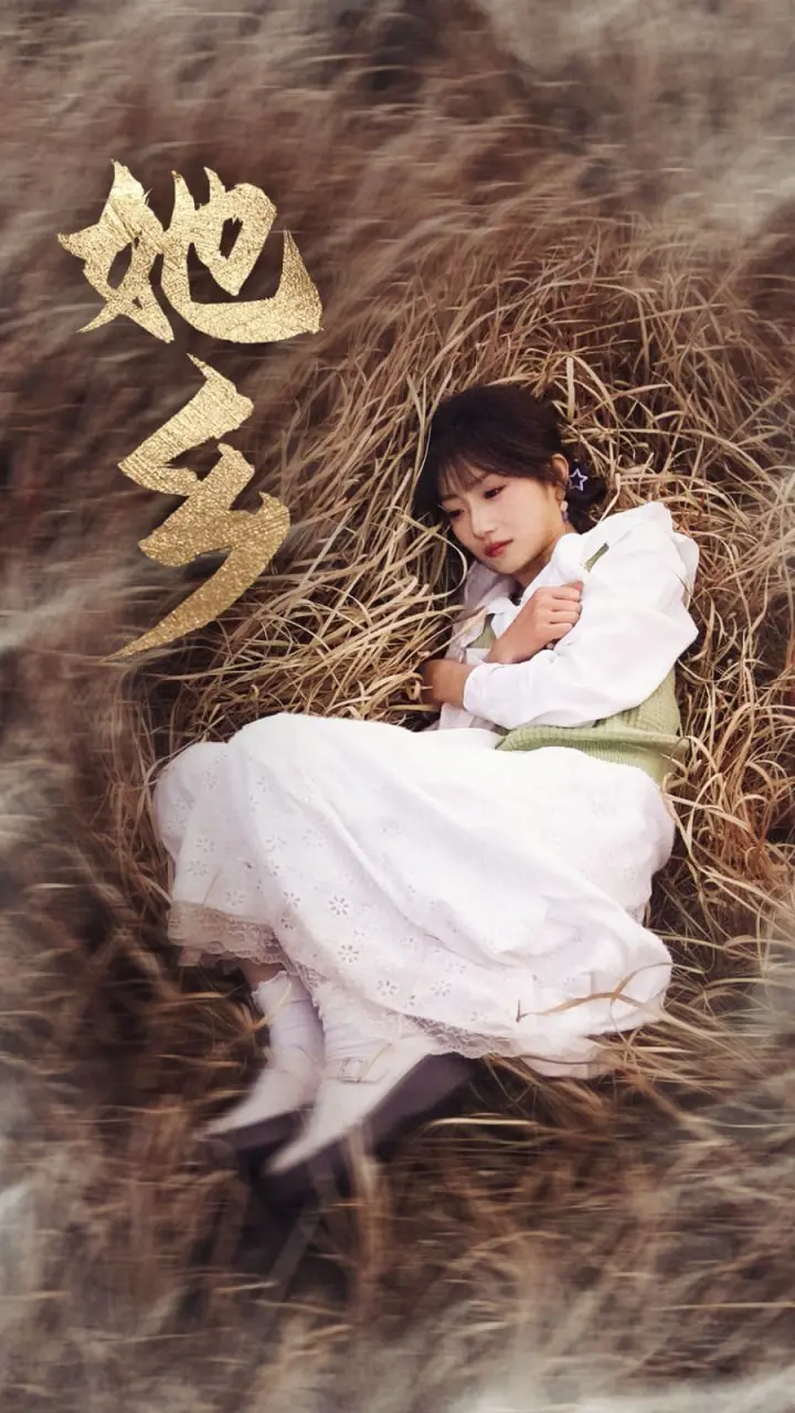 《豪客》：篮球迷的肾上腺素！深度剖析街头篮球的激情与梦想